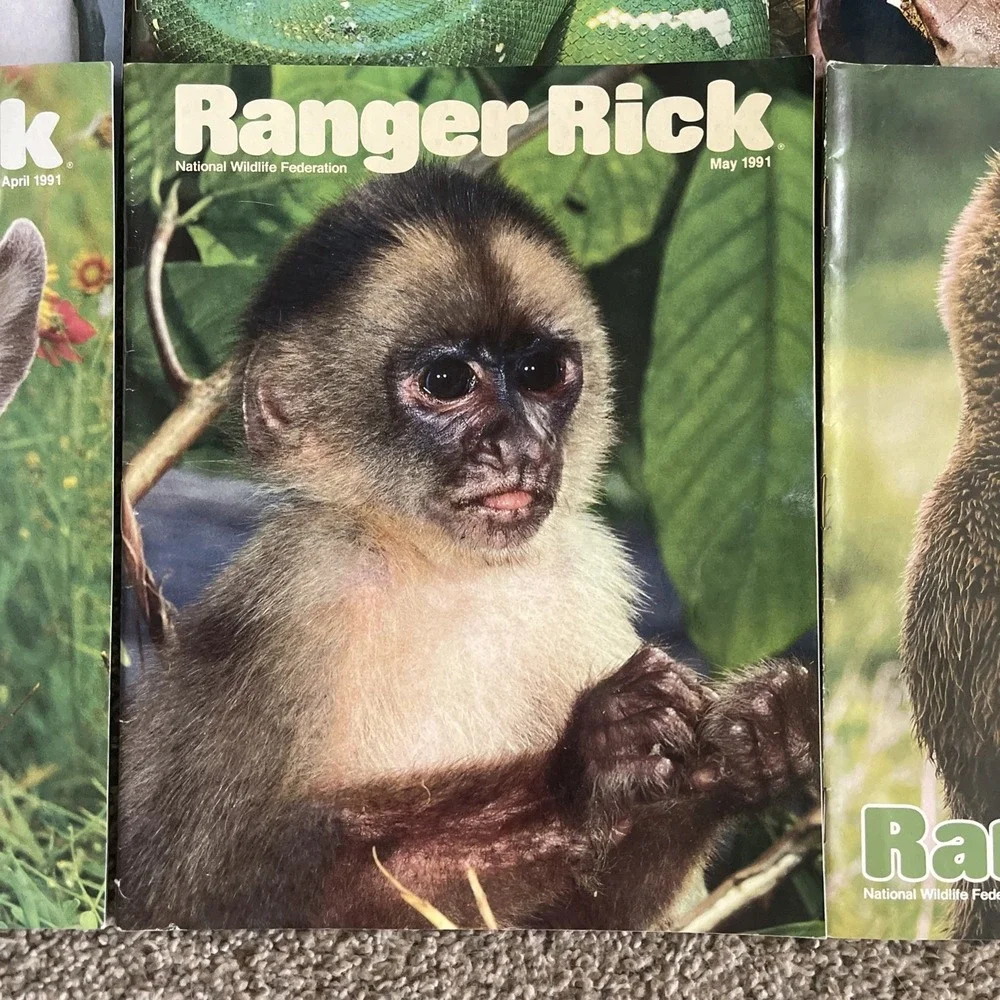 Ranger Rick's Nature Magazine 1991 National Wildlife Kids Vtg Lot Of 12 Complete